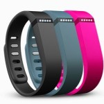 bracelet fitness : fitbit flex